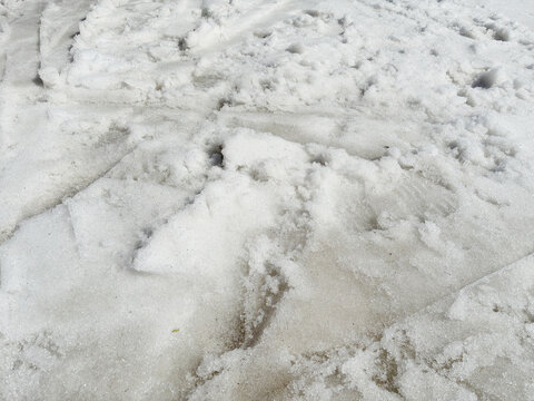 春スキーのゲレンデの雪面 踏み固められた湿った雪の質感