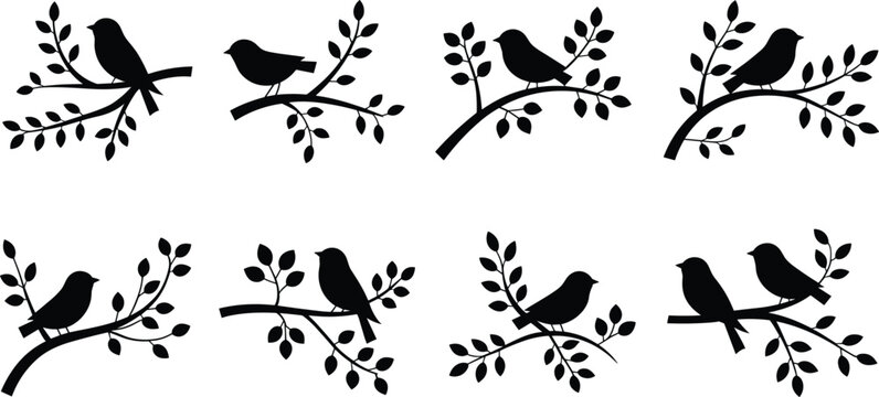 Bird silhouette illustration set, nature and wildlife artwork, perched bird design inspiration, decorative branch and leaf collection
