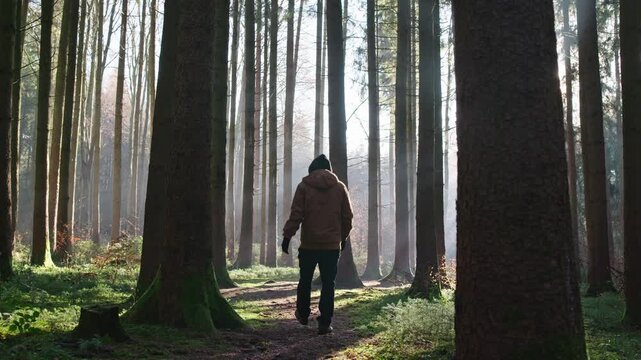 A person walks through a cold forest without snow. Sunlight breaks through the trees as light rays appear, and the hiker&rsquo;s breath is visible in the crisp air. Quiet, restrained winter mood.