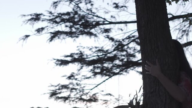 A tranquil scene of cypress trees in Melbourne Croydon, captured at dusk with ambient lighting. The video showcases a close-up of tree textures and surrounding foliage in a calm, serene atmosphere.