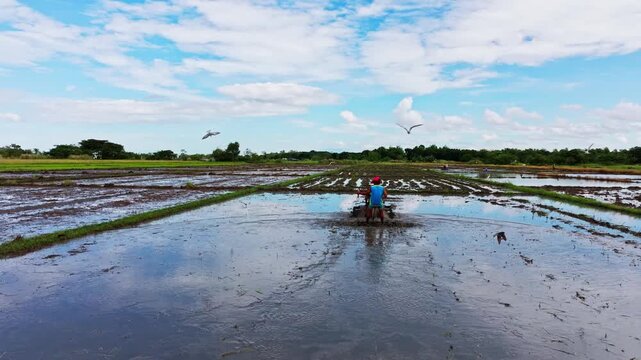 Drone follows local farmer on tractor through muddy rice field in San Clemente
