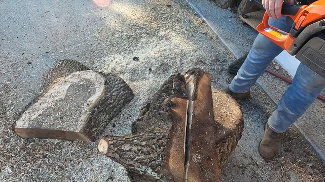 Chainsaw equipment work wood tool to cut tree into lumber 2