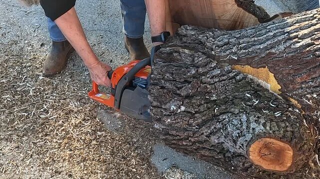 Chainsaw equipment work wood tool to cut tree into lumber 12