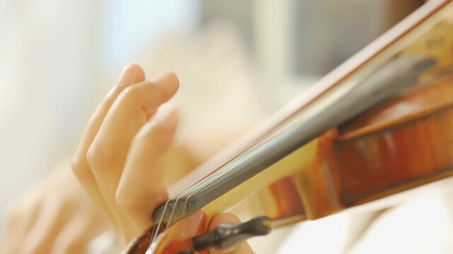 Young talented woman playing the violin classic old style, violinist rehearsing her part before performance. Lady student with fiddle in light room by window, serene performance, classical music