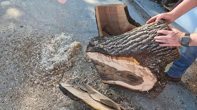 Chainsaw equipment work wood tool to cut tree into lumber 14