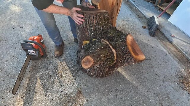 Chainsaw equipment work wood tool to cut tree into lumber 9