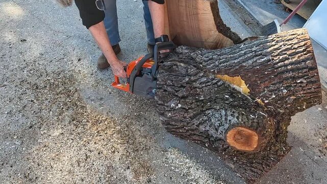 Chainsaw equipment work wood tool to cut tree into lumber 18