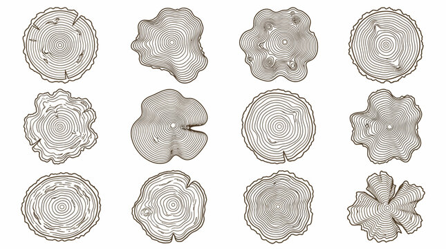 Diverse stylized tree cross-sections showing growth ring patterns and natural wood textures