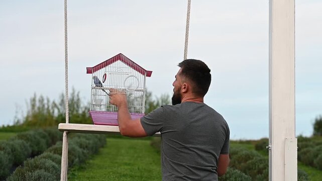 A parrot in a cage, a man with a parrot on a swing, a small budgie outside in a cage.
