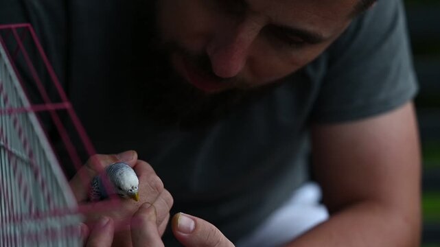 Friendship between a man and a bird, a man holds a small blue parrot in his hands, a domesticated pet bird is the owner's favorite.