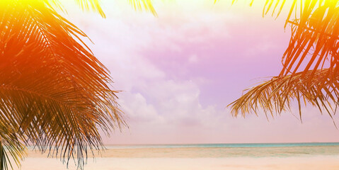 Summer colorful theme with palm trees leaf background as texture frame image background © SASITHORN