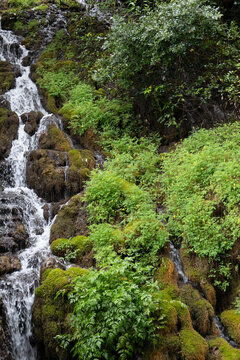 Cascate Varone waterfall with mossy rocks and green vegetation in natural light forest landscape parco grotta Trentino Italy