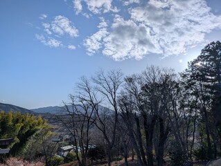 Fototapeta premium 常陸国出雲大社