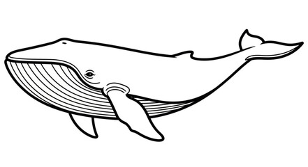Detailed Line Art of a Majestic Humpback Whale. © izas