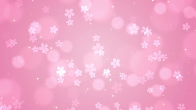 Abstract pink cherry blossom flowers background loop with bokeh and sparkles for spring.