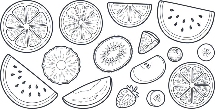  fruite slice line art.