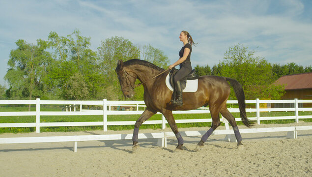 Happy young woman riding her muscular mare around the paddock on a sunny day.