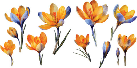 Obraz premium yellow and blue flowers