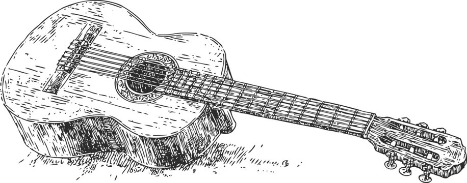 Classical acoustic guitar sketch detailed hand drawn musical instrument illustration with strings and tuning pegs
