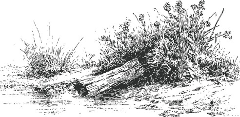 Fototapeta premium Natural landscape with log and bushes by a water edge, vintage ink drawing of rustic riverside scene