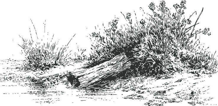 Natural landscape with log and bushes by a water edge, vintage ink drawing of rustic riverside scene