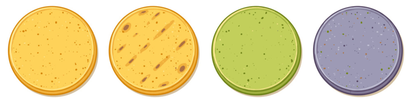 Four colorful round flatbreads including corn, flour, and flavored varieties