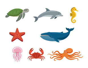 Comprehensive collection of sea animal characters including whale dolphin turtle octopus crab seahorse and jellyfish for marine biology and ocean education © QM