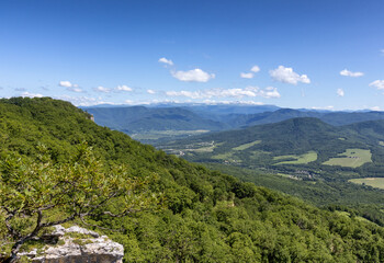 Obraz premium Forest on rocky mountain surfaces, summer day in nature, and green vegetation, panorama of the area