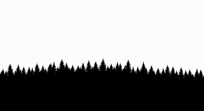 Black Silhouette of Pine Forest Edge on White Background