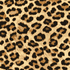 leopard fur texture © Ferhat