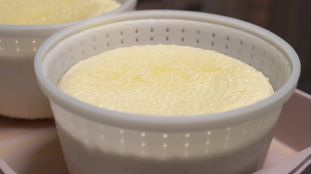 Traditional Hungarian Gomolya cheese curd draining in a plastic mold for dairy fermentation