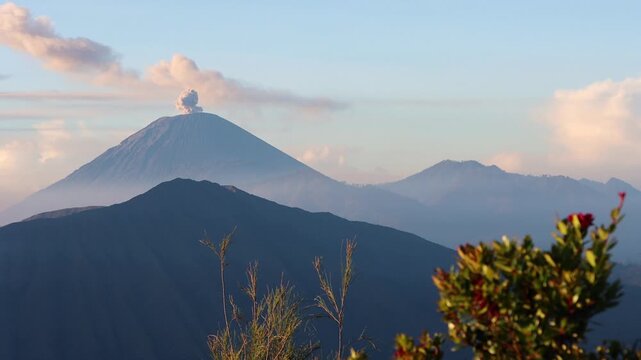 Wide shot of Sunrise Eruption of Mount Semeru Framed by Foreground plants from King Kong Hill in East Java , Indonesia