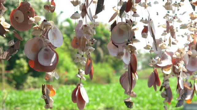 Sea shell mobile hanging and swaying in the gentle breeze with sunlight on green bokeh background in 4K seamless loop