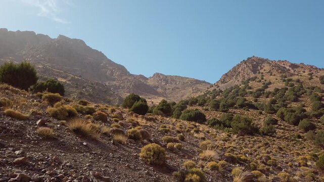 Rocky slopes with scattered shrubs and juniper trees in the High Atlas Mountains near Imlil, Morocco, beneath a clear blue sky, showcasing the rugged natural landscape of the Mount Toubkal region.