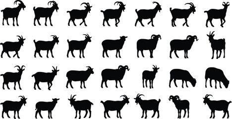 Obraz premium Goat silhouette collection, farm animal poses including standing, walking and grazing goats, livestock agriculture illustration set