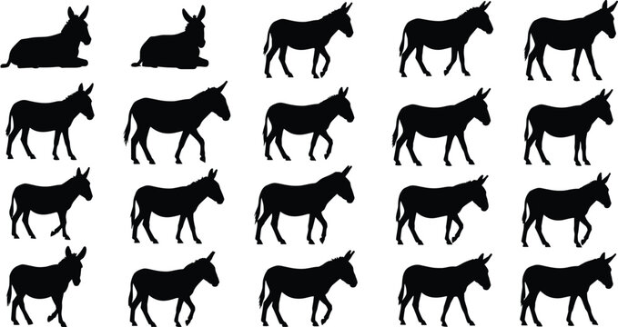 Donkey silhouettes collection with standing, walking and resting poses, farm animal mule characters isolated illustration set for agriculture and livestock design