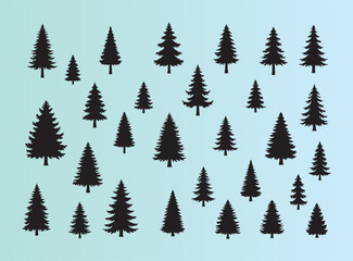 Obraz premium Assorted evergreen trees in various sizes isolated on transparent background