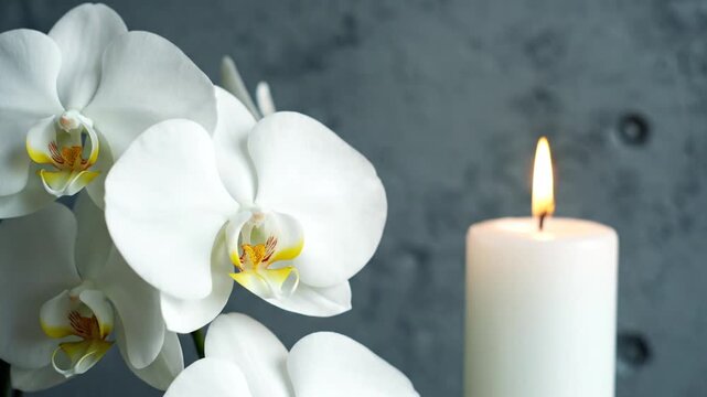 White orchids and candle on gray background.