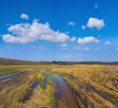 flooded grass prairie under a blue cludy sky, spring natural landscape