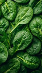Obraz premium Close-Up of Fresh Spinach Leaves with Water Droplets, Healthy Green Veggies for Nutrient-Rich Dishes