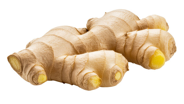 Isolated fresh organic ginger root culinary spice healthy food ingredient natural herb