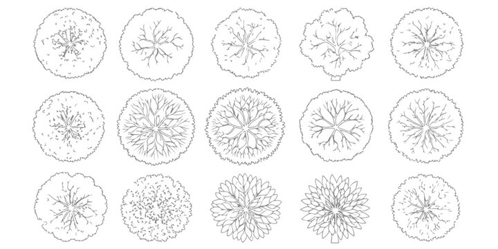 Collection of architectural tree top view symbols and landscape garden plant sketches for site planning and map design vector illustration
