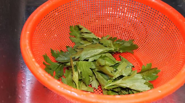A chef wearing black latex gloves trims and dices fresh celery stalks on a green cutting board in a professional kitchen. The chef uses precise knife skills to cut the celery into uniform pieces befor