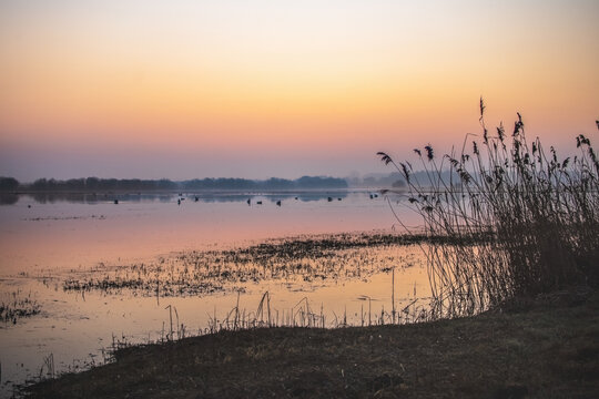 Ein ruhiger Sonnenaufgang &uuml;ber einem See mit Schilf und Wasserv&ouml;geln. Die sanften Pastellfarben spiegeln sich im Wasser und schaffen eine entspannte Morgenstimmung.