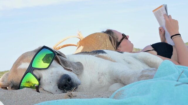 Playful summer video of a beagle dog wearing sunglasses relaxing on the beach next to a young woman reading a newspaper. Humorous and lighthearted scene with sunbathing, vacation mood, and seaside 