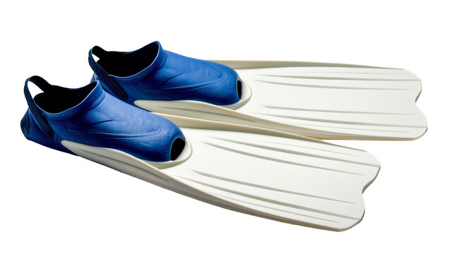Isolated pair of blue and white scuba diving and snorkeling flippers for aquatic sports.