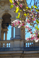 dettaglio di chiesa con fiori di maglia 
