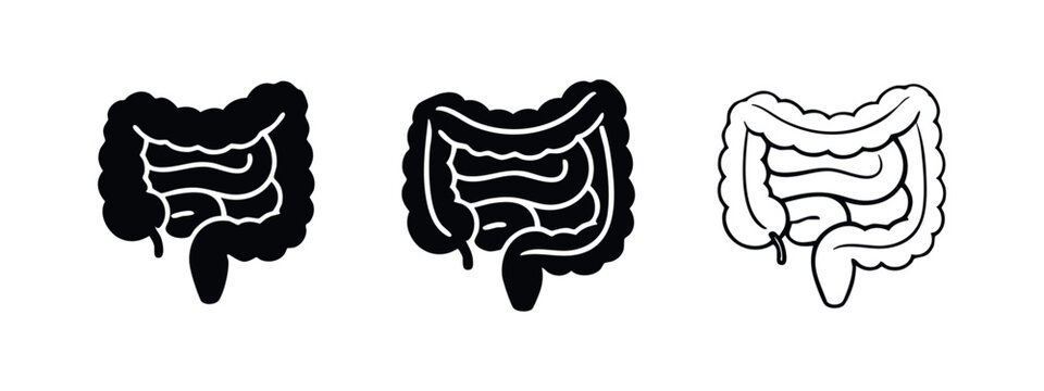 Digestive System Intestines Anatomy Icon Set Vector