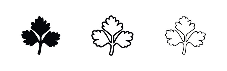 Fototapeta premium Cilantro or parsley herb leaf icon set. Cooking ingredient illustration in various styles.