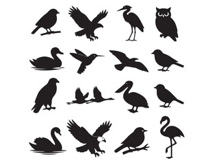 Obraz premium Diverse bird silhouette vector collection, black avian animal shapes, various flying and perching bird icons, wildlife and nature design elements for branding and education